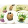 Printed Cookies, Edible Inks